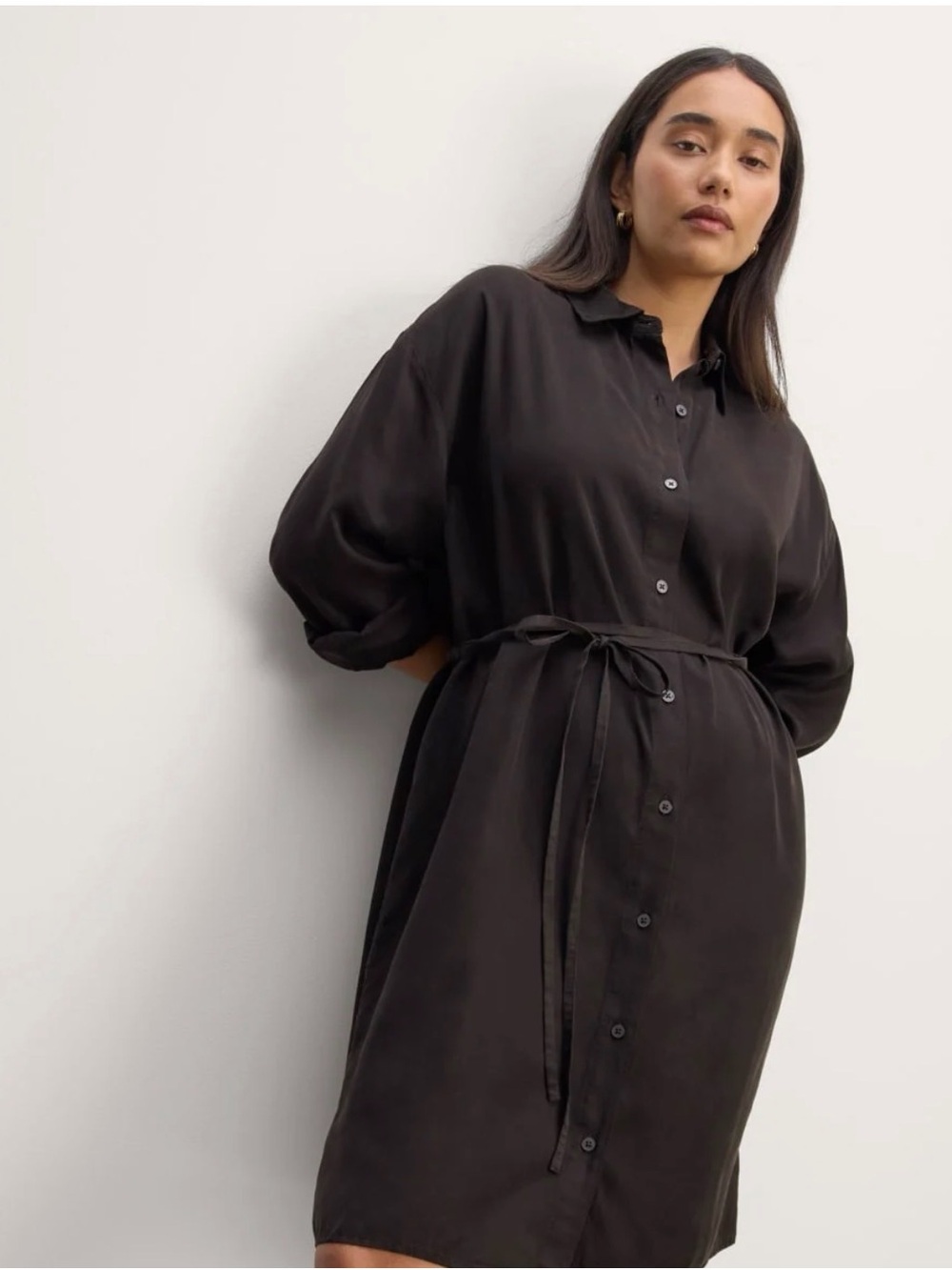 Everlane The Must-Have Shirtdress in Butterlite